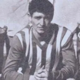 Portrait of Florian Dumitrescu