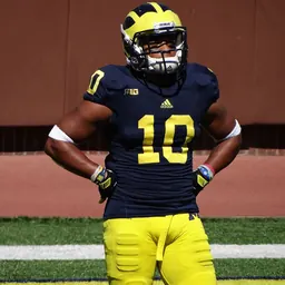 Portrait of Jeremy Gallon