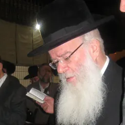 Portrait of Chaim Walkin