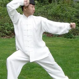 Portrait of Yang Jun