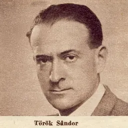 Portrait of Sándor Török