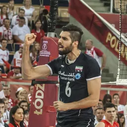 Portrait of Mohammad Mousavi