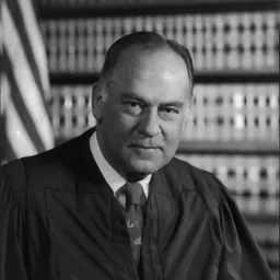 Portrait of Potter Stewart