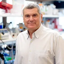 Portrait of Craig B. Thompson