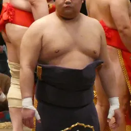 Portrait of Tōhakuryū Masahito