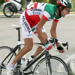 Portrait of Filippo Simeoni