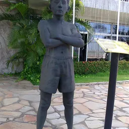 Portrait of Zé Peixe