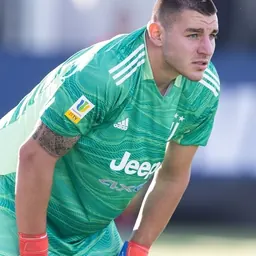 Portrait of Zsombor Senkó