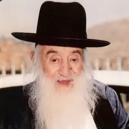 Portrait of Nosson Meir Wachtfogel