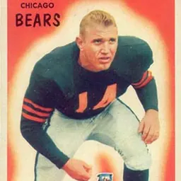 Portrait of Wayne Hansen