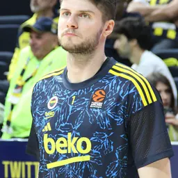 Portrait of Metecan Birsen