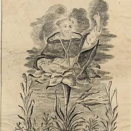 Portrait of Francis Diaz