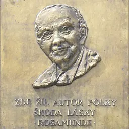 Portrait of Jaromír Vejvoda