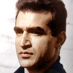 Portrait of FM-2030