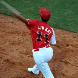 Portrait of Liu Kai
