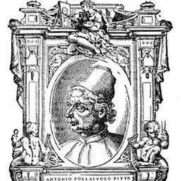 Portrait of Antonio del Pollaiuolo