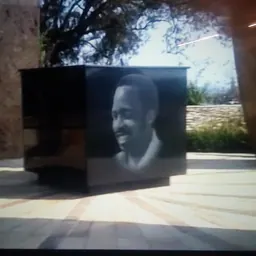 Portrait of Chris Hani