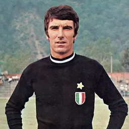 Portrait of Dino Zoff