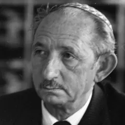 Portrait of David Danino