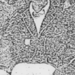 Portrait of Charles Morgan