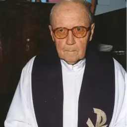 Portrait of Aloísio Sebastião Boeing