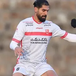 Portrait of Reza Asadi