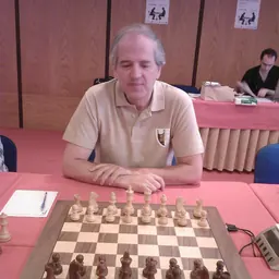 Portrait of Luís Santos