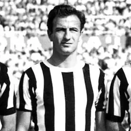 Portrait of Sergio Manente