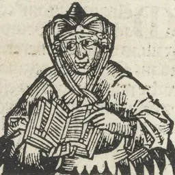 Portrait of Gaius Julius Solinus