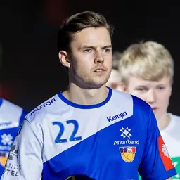 Portrait of Sigvaldi Guðjónsson