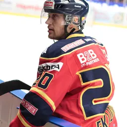 Portrait of Christian Eklund