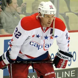 Portrait of Mike Knuble