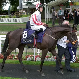 Portrait of Wayne Lordan