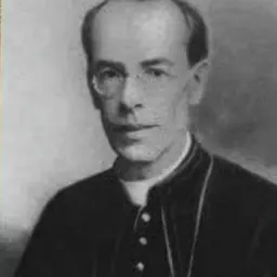 Portrait of Antônio de Almeida Lustosa