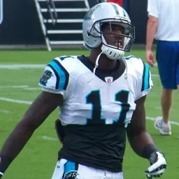 Portrait of Brandon LaFell