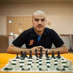 Portrait of Homayoon Toufighi