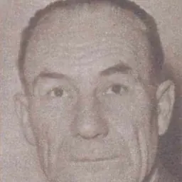 Portrait of Andrei Sepsi