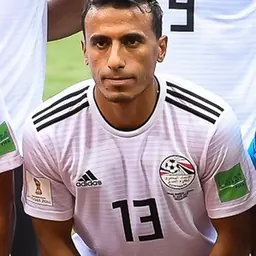 Portrait of Mohamed Abdel-Shafy