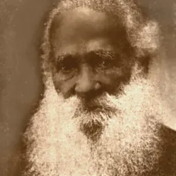 Portrait of Ernesto Carneiro Ribeiro