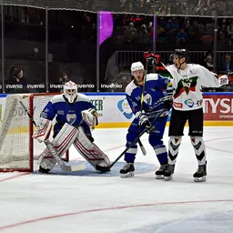 Portrait of Patrik Luža
