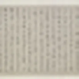 Portrait of Shuqi