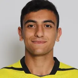 Portrait of Hasan Srour