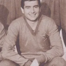 Portrait of Cornel Pavlovici