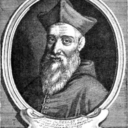 Portrait of Jean du Bellay