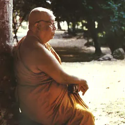 Portrait of Buddhadāsa