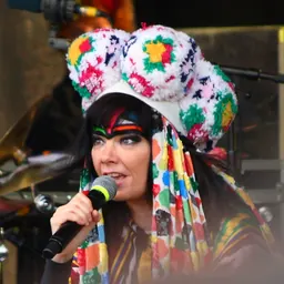 Portrait of Björk