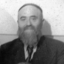 Portrait of Daniel Zion