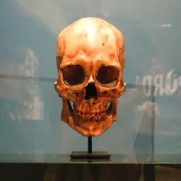 Portrait of Kennewick Man