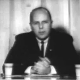 Portrait of Joseph Mitchell