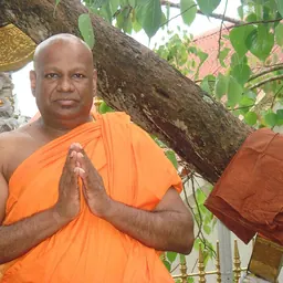 Portrait of Bodagama Chandima